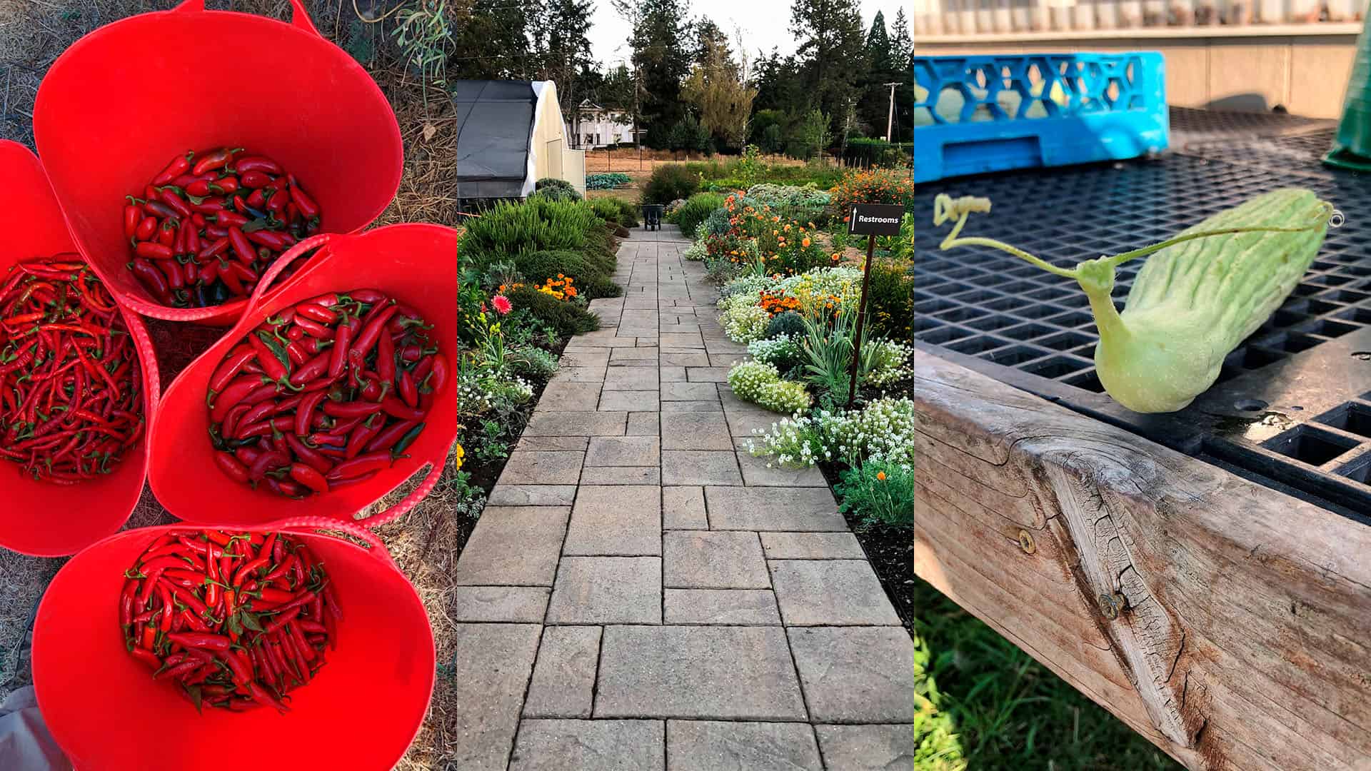 Chefs Garden - September 25, 2022
