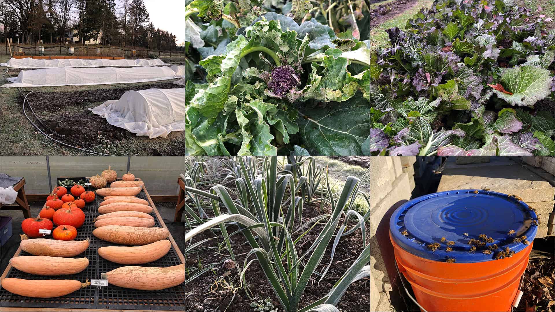 December 19, 2022 - State Of Chefs Garden