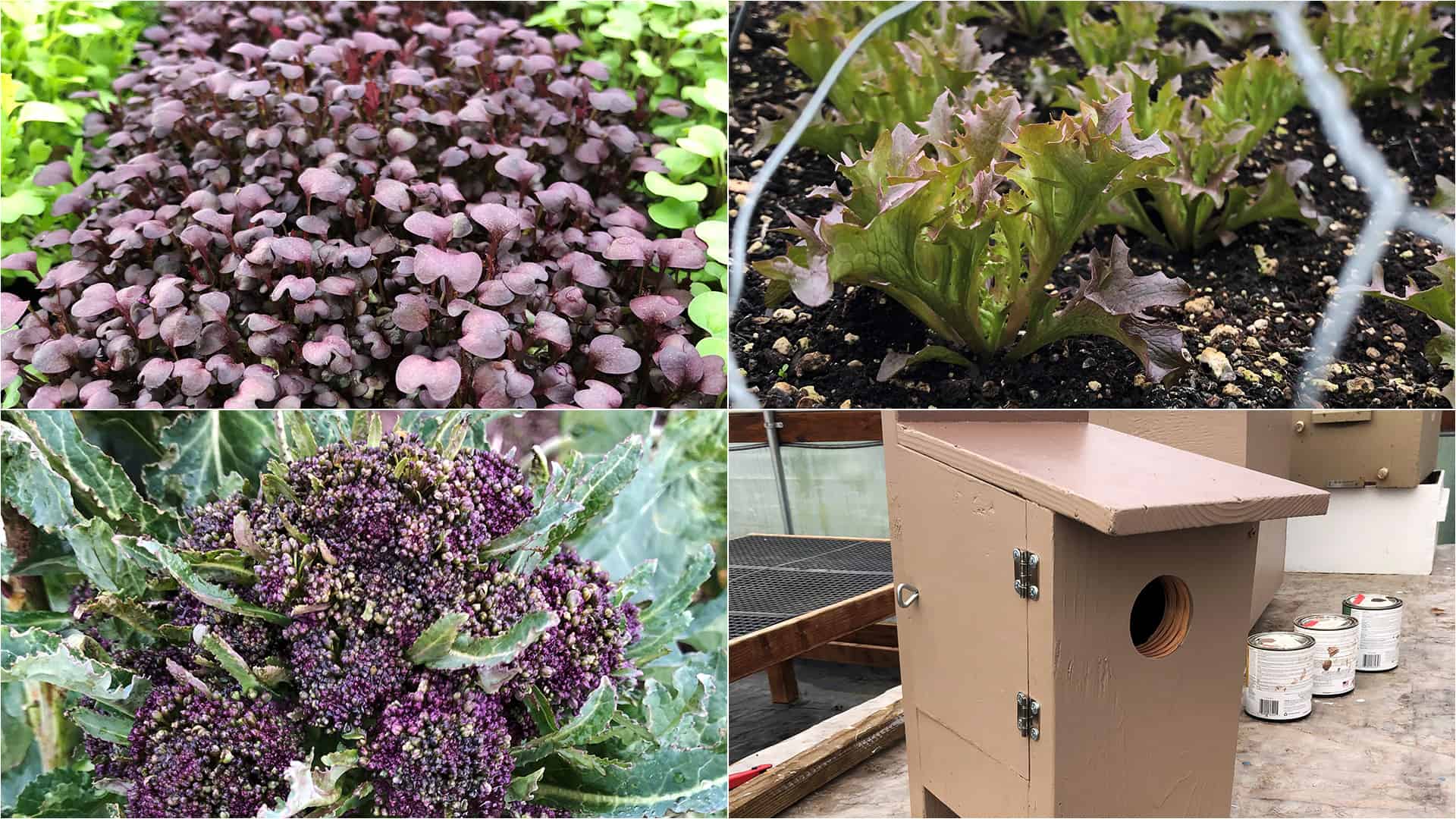 Chefs Garden - January 24, 2023