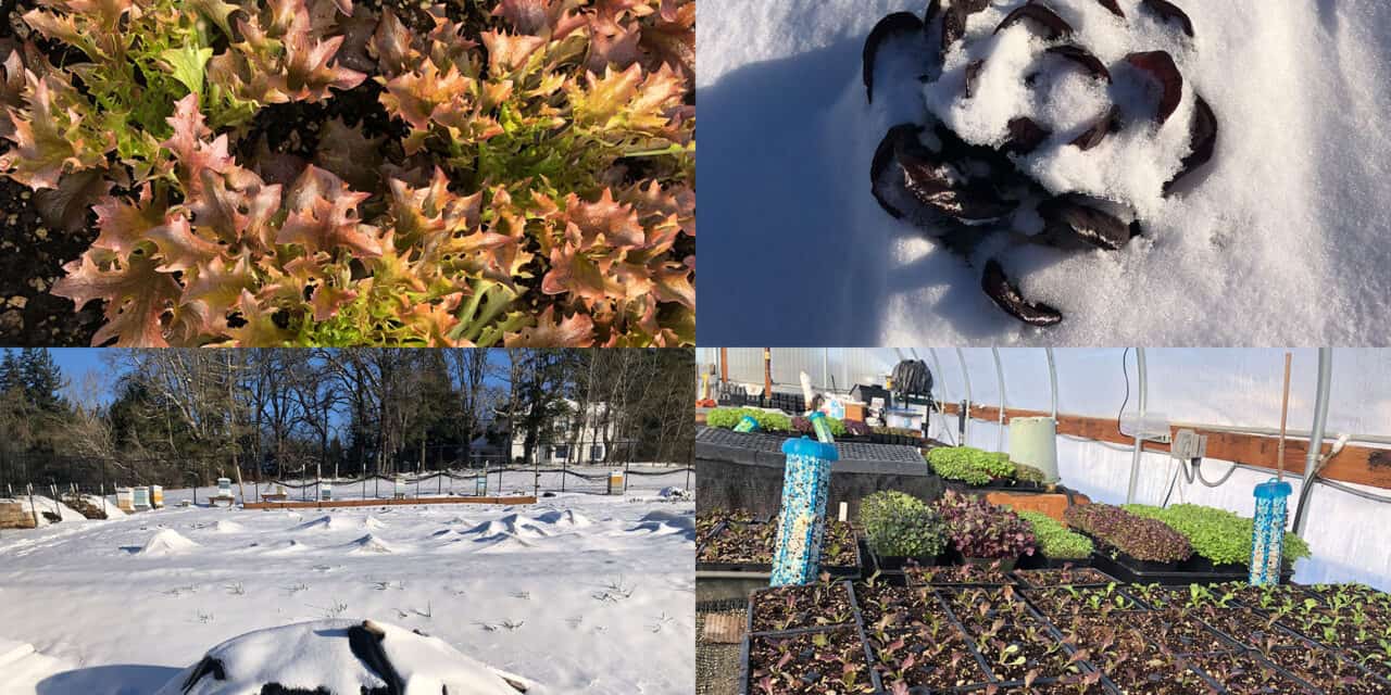 State Of The Garden - February 27, 2023