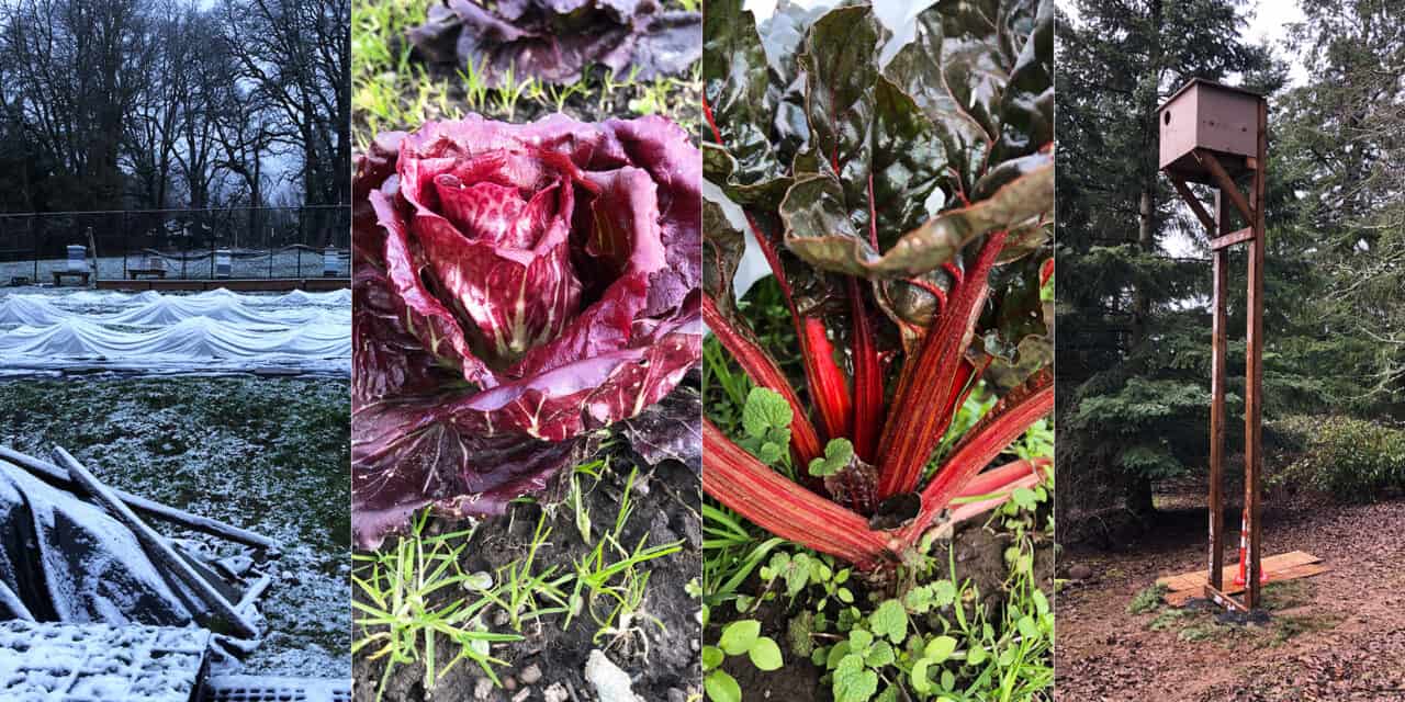State Of The Garden - February 20, 2023