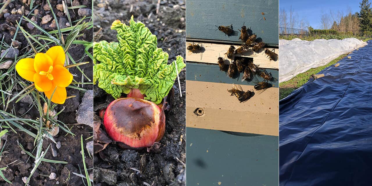 State of Chefs Garden - February 13, 2023