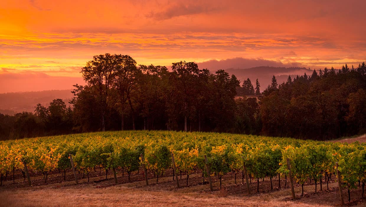 Willamette Valley Wine Region