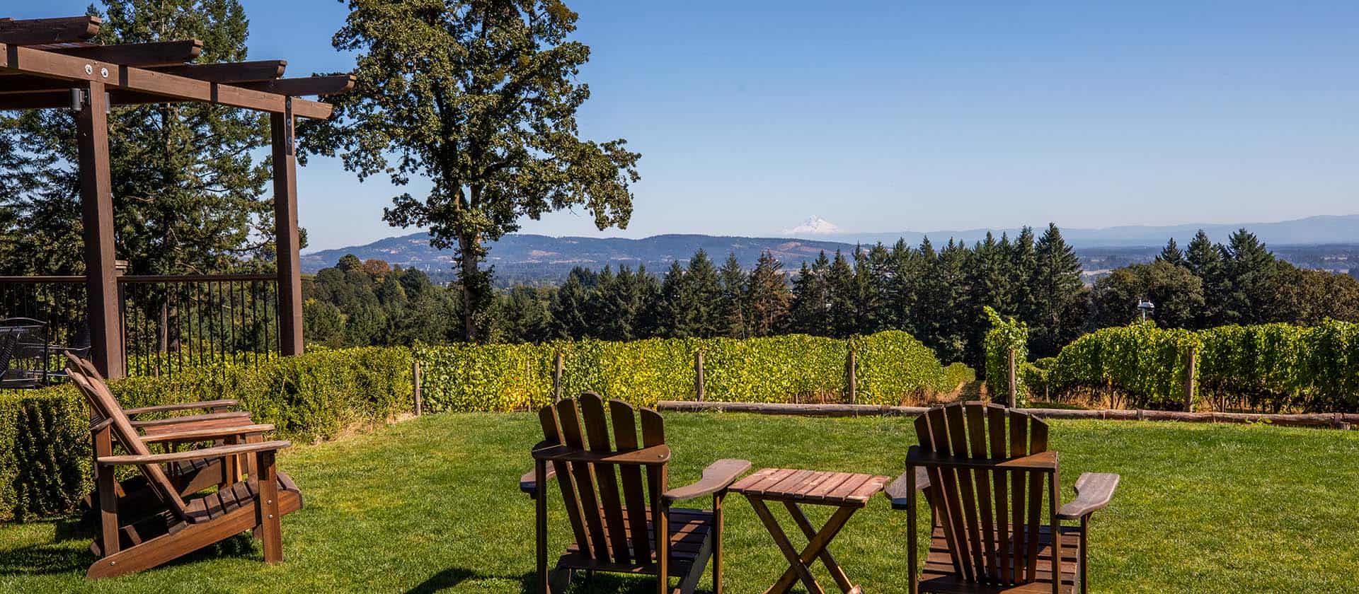 Local Willamette Wine Tasting