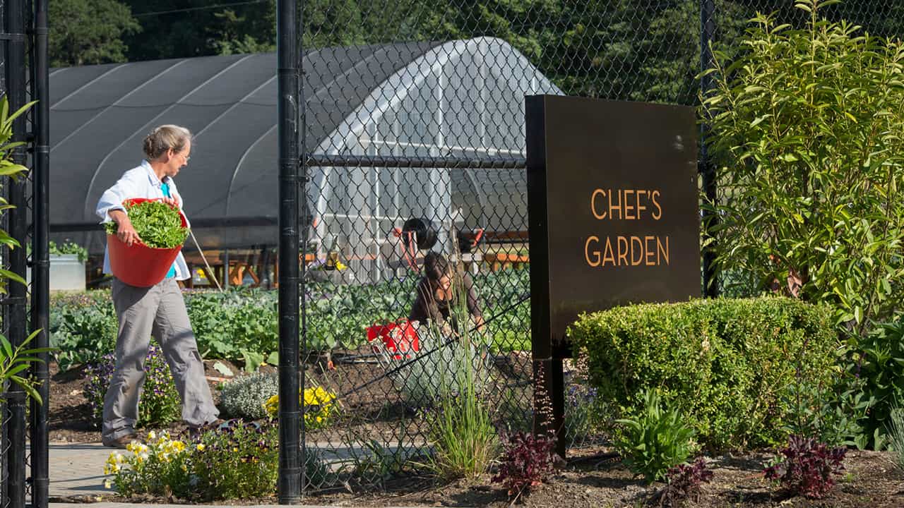The Allison Inn & Spa has its own 1.5 acre garden across the street for chefs to use fresh ingredients.