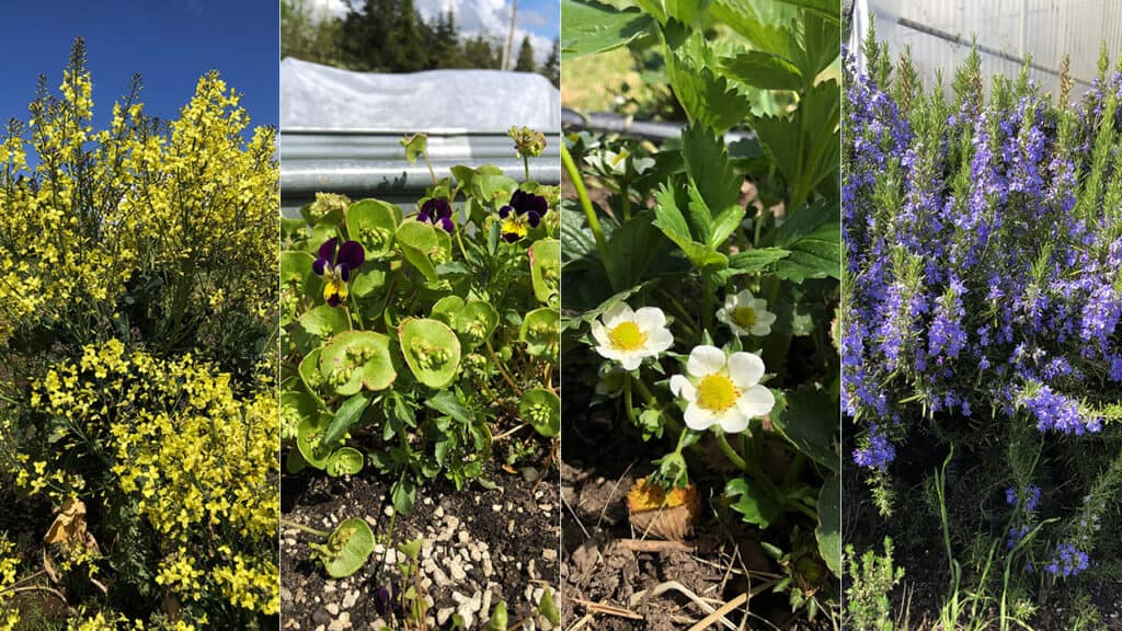 State of Chef's Garden - May 7, 2023