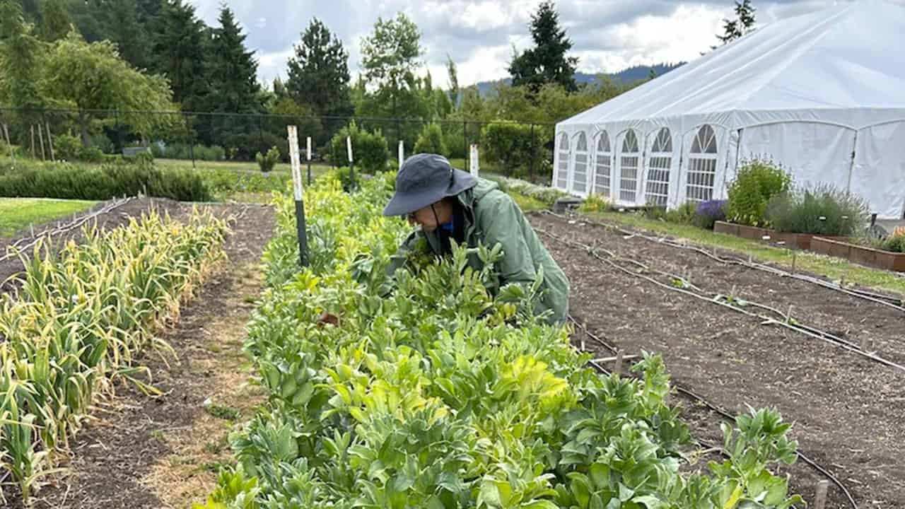 Chefs Garden At The Allison Inn And Spa