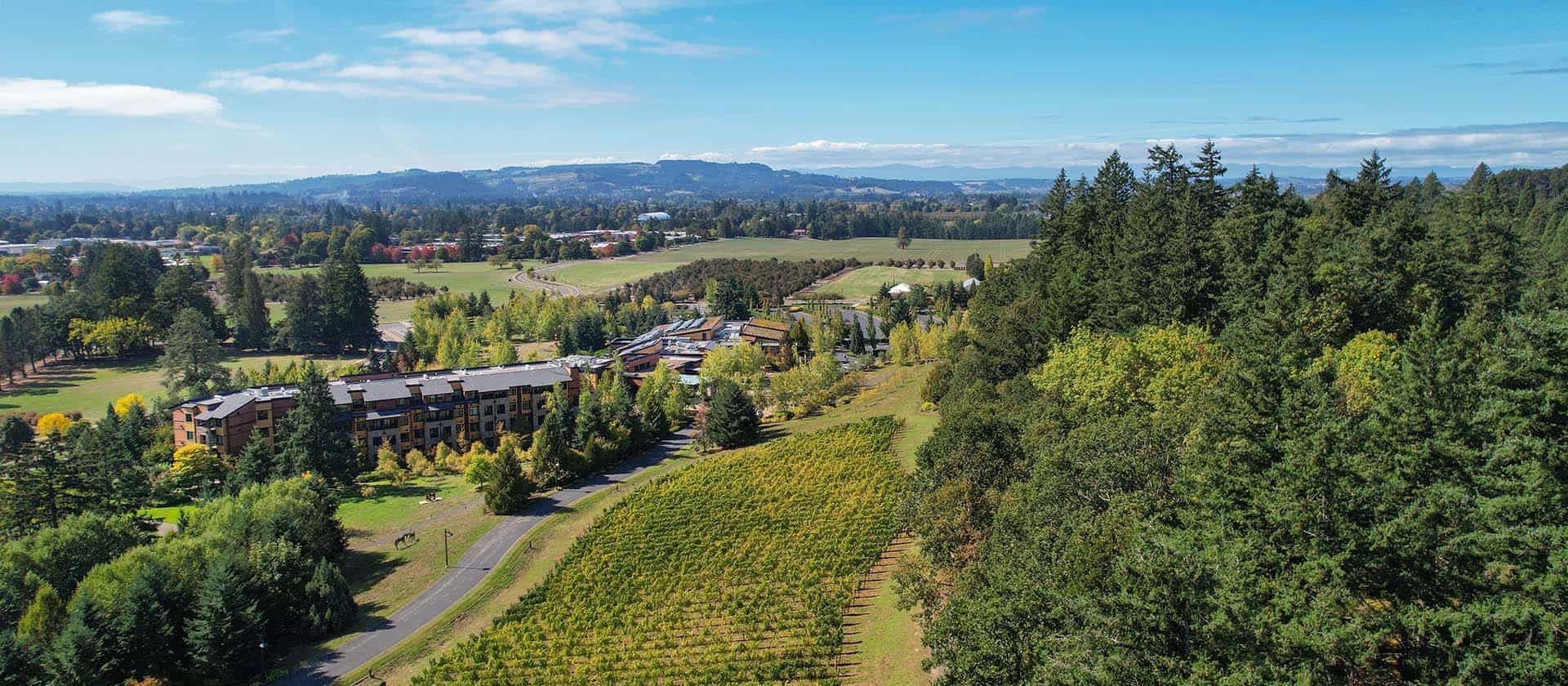The Allison Inn and Spa Aerial View With Vineyards