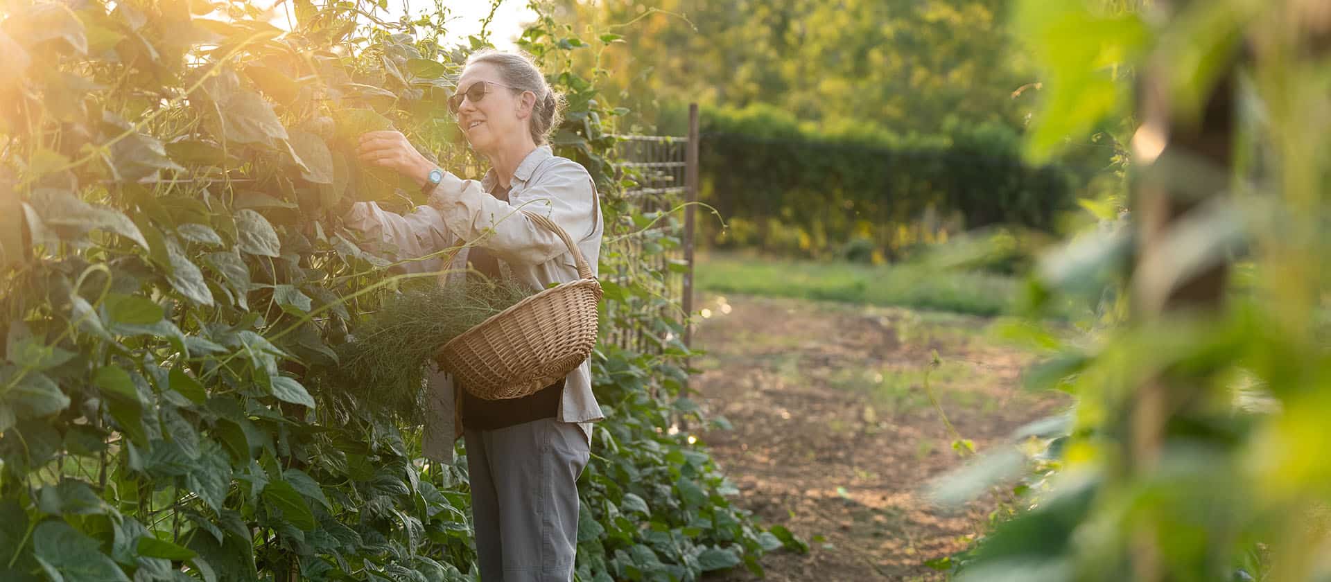 Anna Tends To Chefs Garden At The Allison