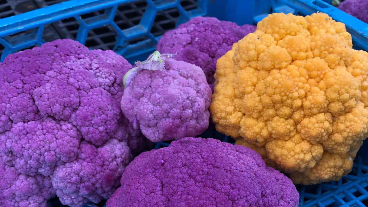 Colorful Autumn Cauliflowers