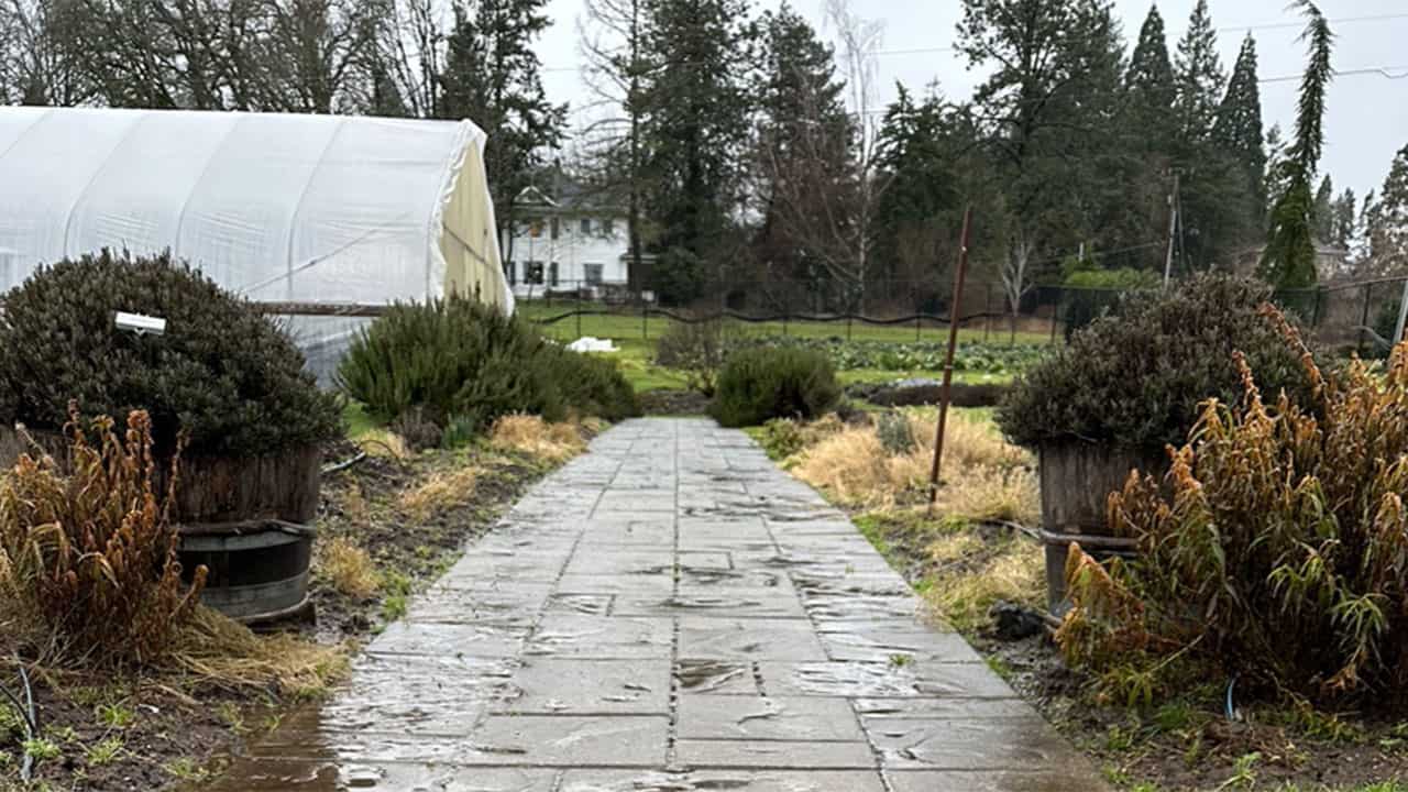 Rainy Day in Chefs Garden