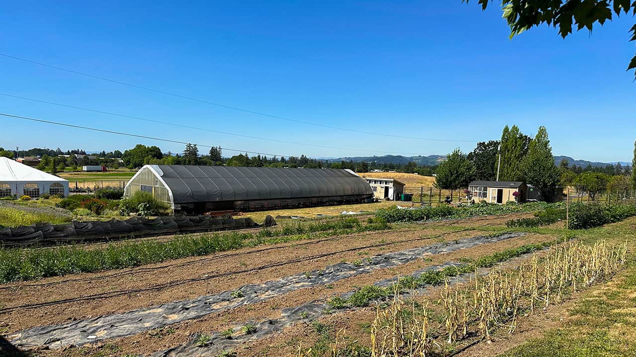 Chefs Garden
