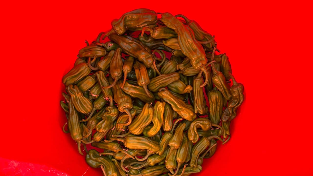 Chefs Garden Shishito Peppers