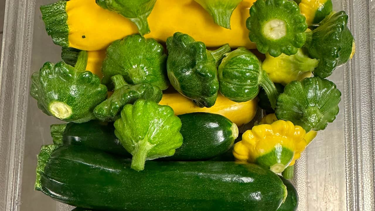 Chefs Garden Zucchini and Patty Pan Squashes