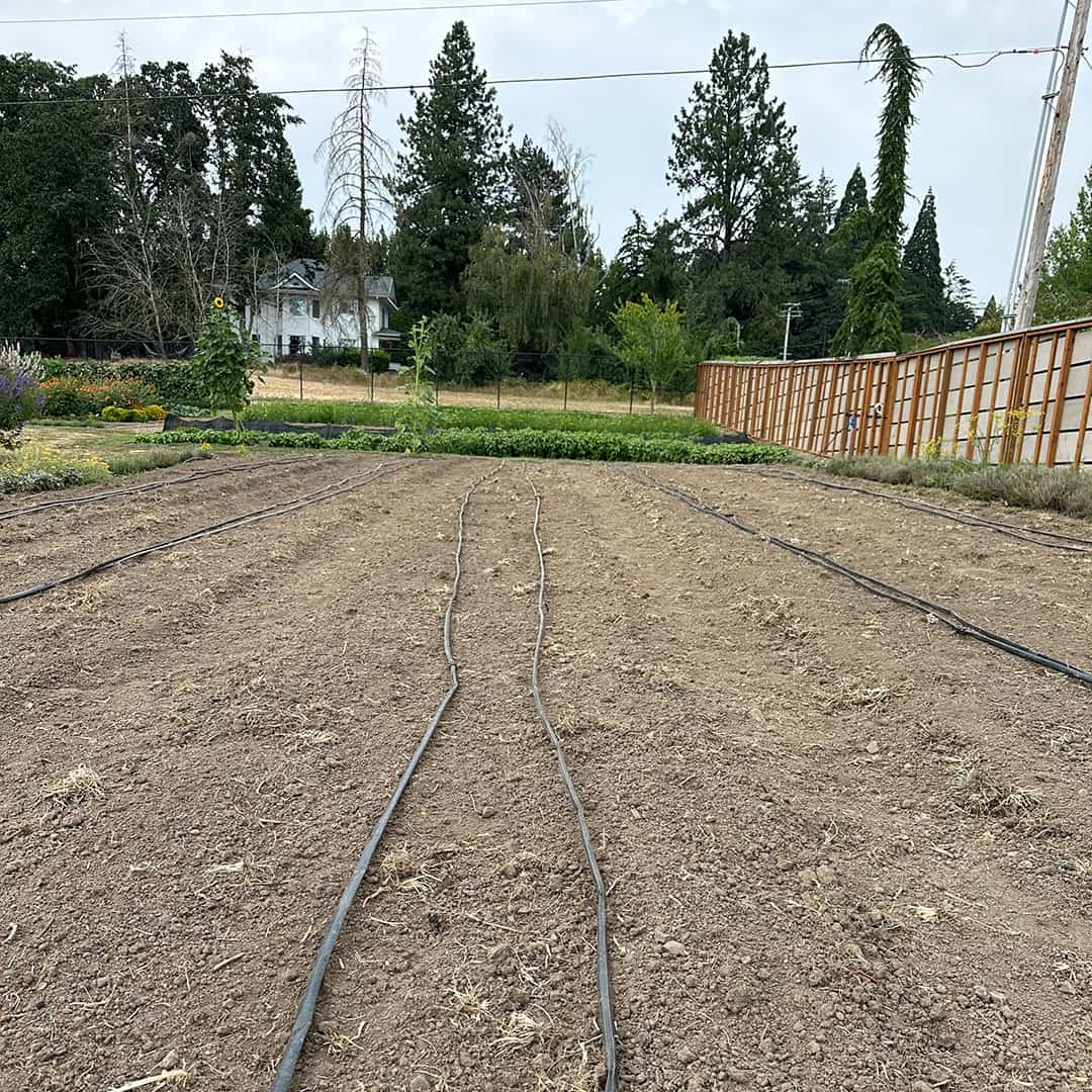 Chefs Garden Soil Prep for Fall and Winter Crops