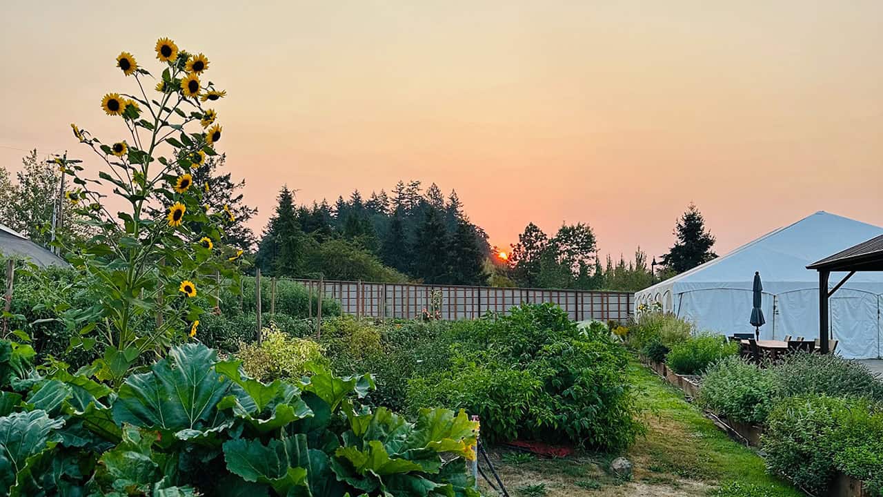Autumn in Chef's Garden