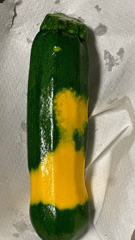 Chefs Garden Green and Yellow Fall Zucchini