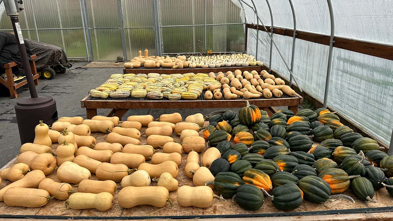 Chefs Garden Winter Squashes