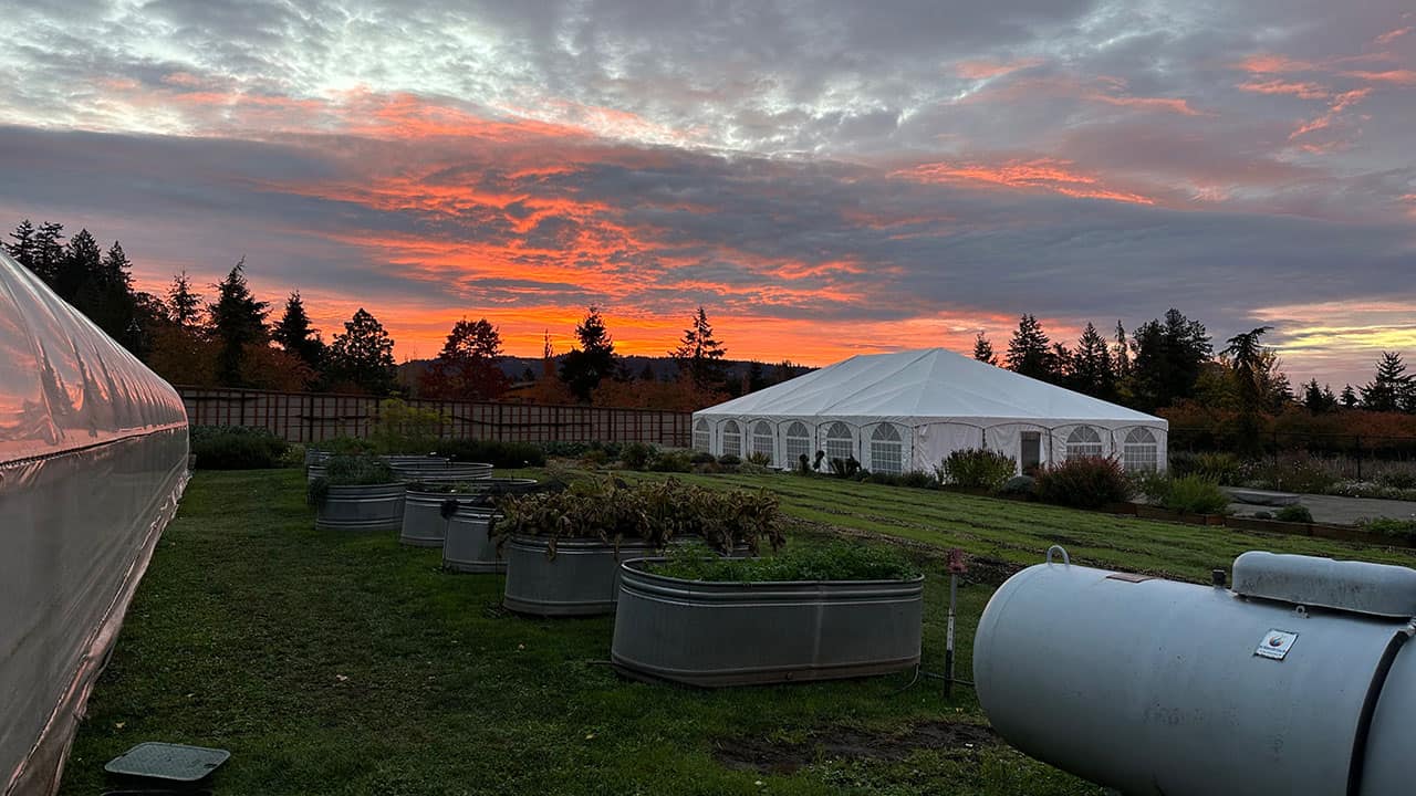 Chefs Garden Winter Sunset