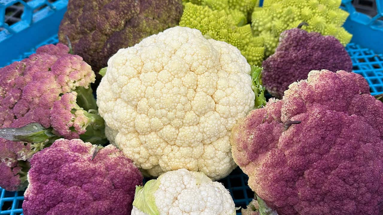 Chef's Garden Fall Cauliflower