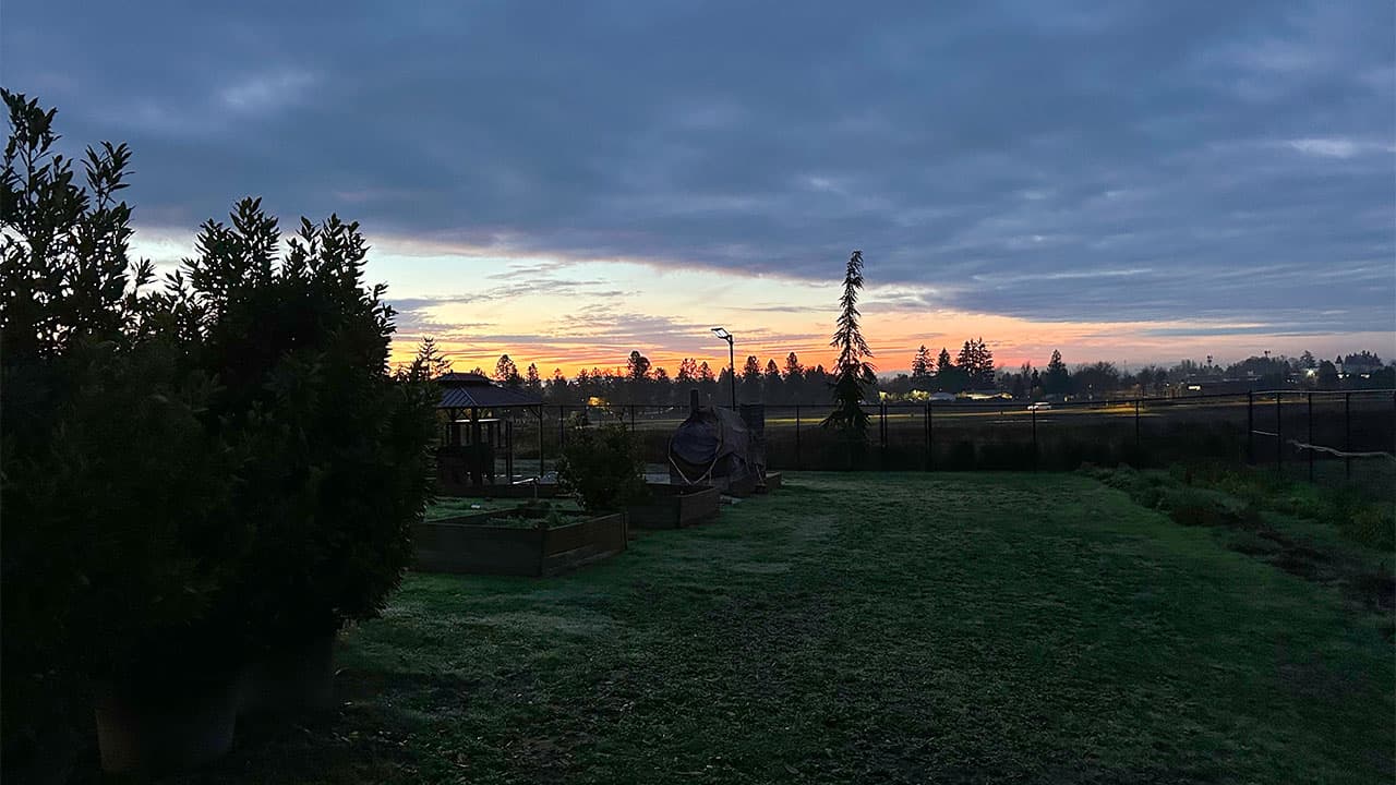 Chef's Garden Sunrise