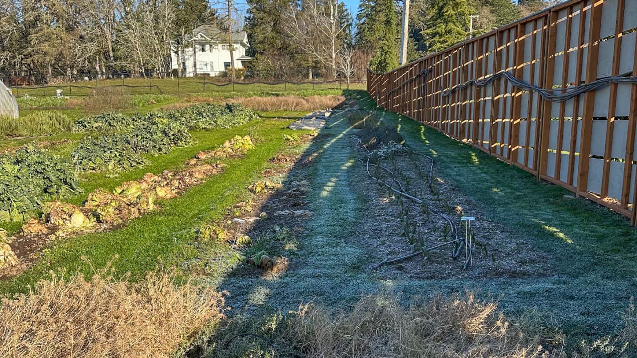 Chef's Garden With Frozen Ground