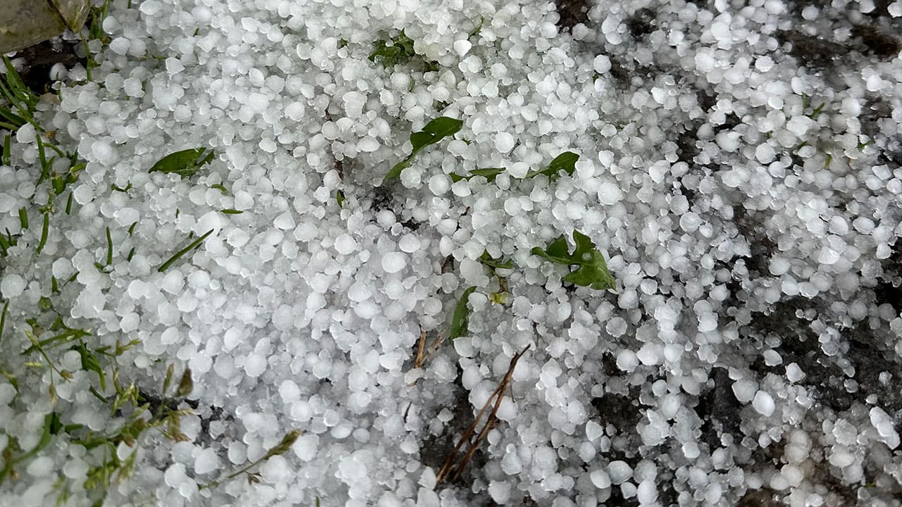 Hail in Chef's Garden