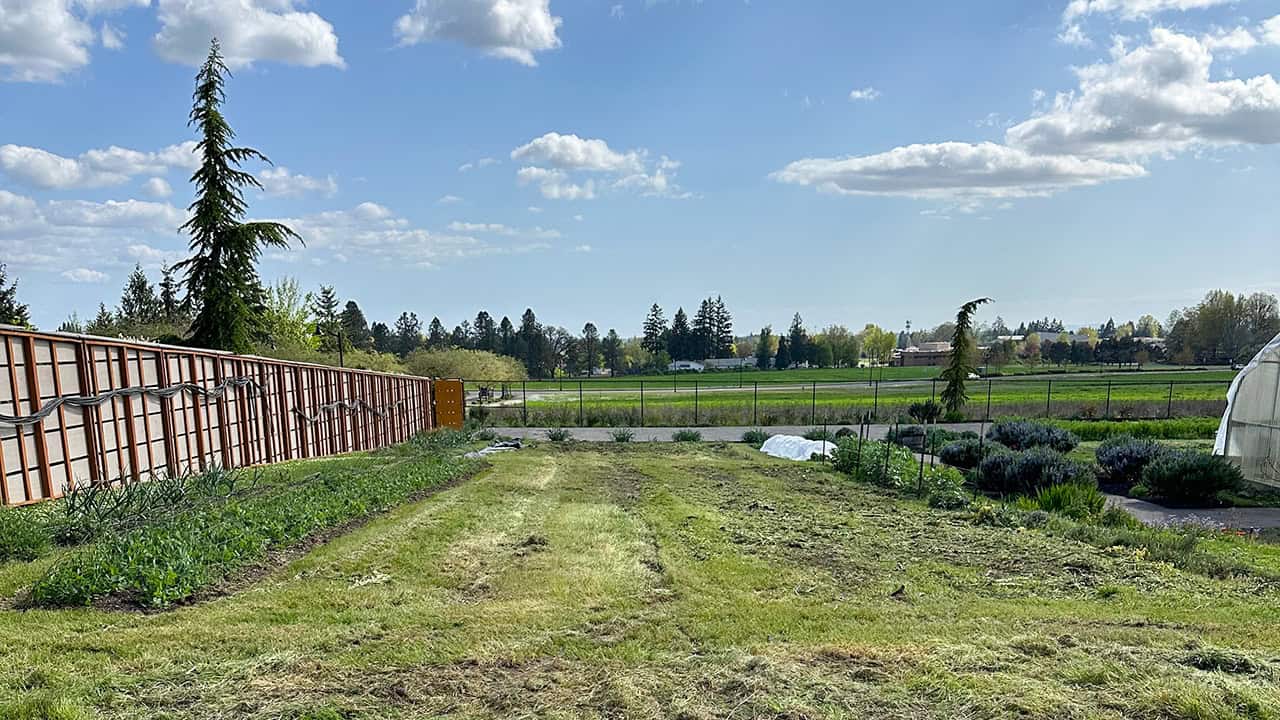 Chef's Garden in Spring