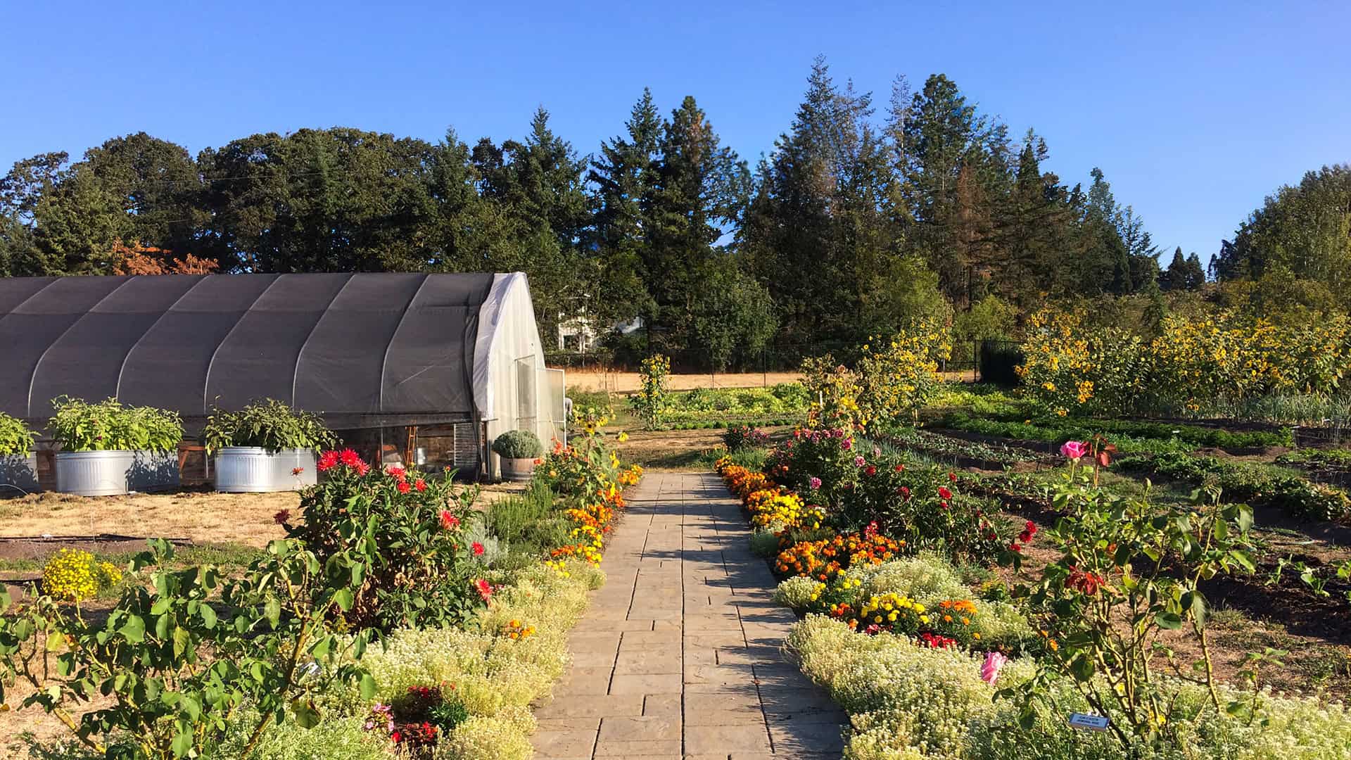 Dinner in the Garden with Granville at The Allison Inn and Spa