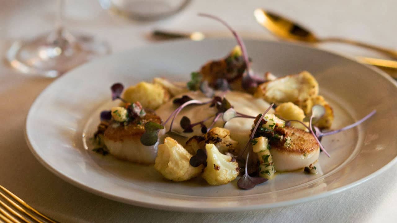 Plated seafood entree with a glass of wine.