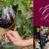Salud Grand Dinner Gala and Live Auction.