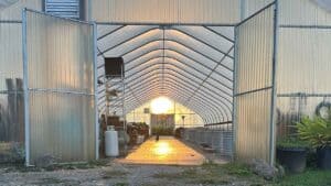 The sun shining through the greenhouse with the garden cats resting in the light.