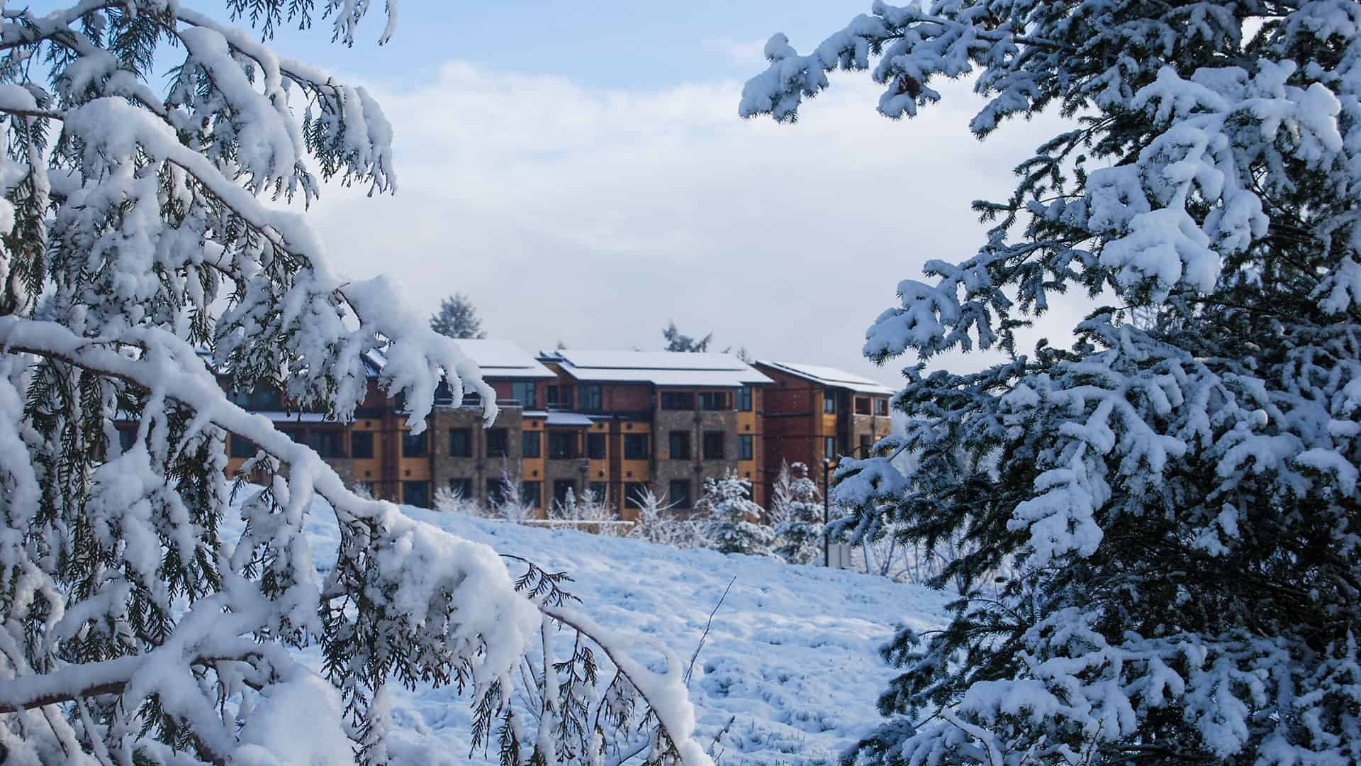 A view of the hotel through snowy trees.