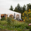 A view of the Chef's Garden event tent through blooming flowers.