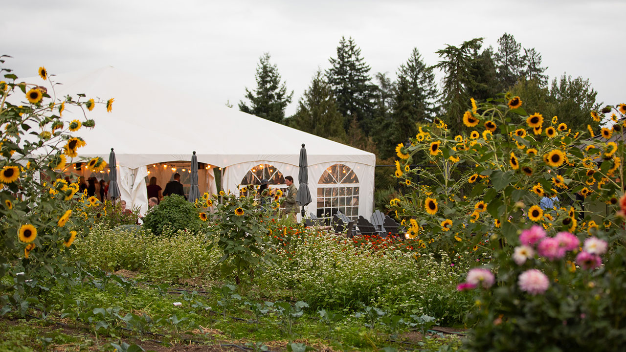 A view of the Chef's Garden event tent through blooming flowers.