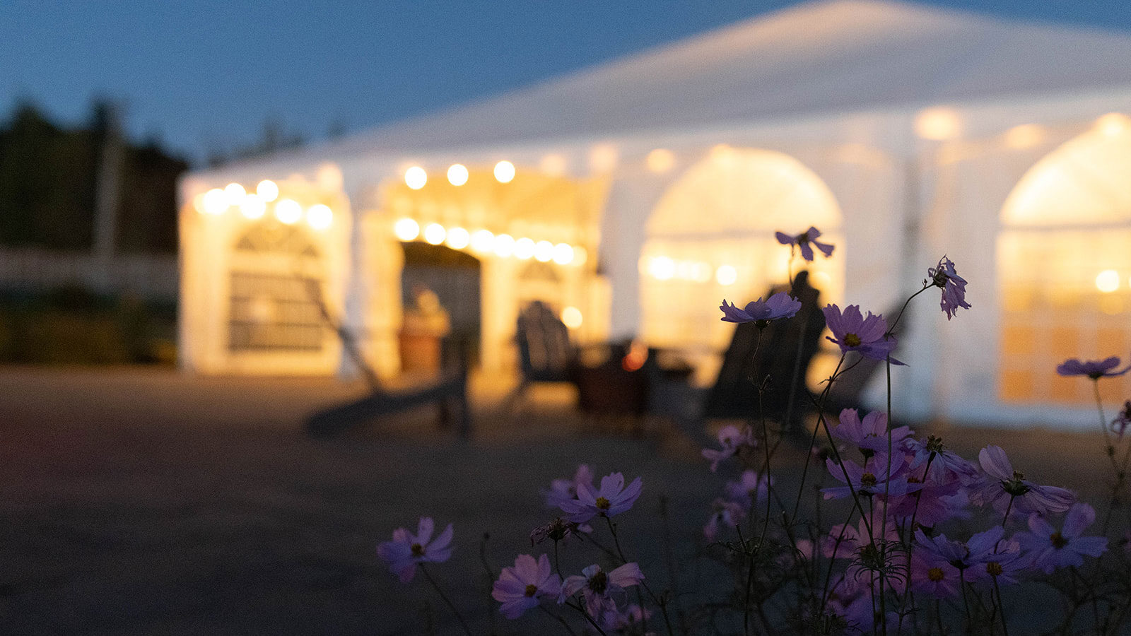 The Chef's Garden tent lit up at nighttime with purple flowers in the foreground.
