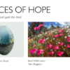Places of Hope, a show opening in June 2026 at Art Elements Gallery.