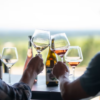 Two people clinking their wine glasses at Compris Vineyard.