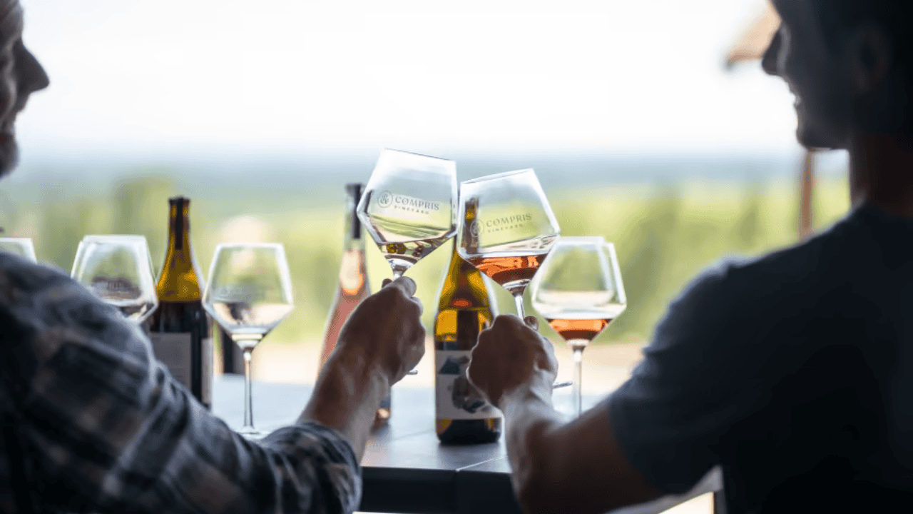 Two people clinking their wine glasses at Compris Vineyard.