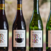 Four bottles of Sequitur Wine near the forest.