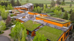 The Allison Inn & Spa sedum green roof.